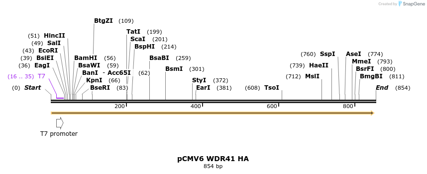 141746_map