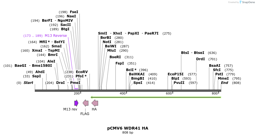 141748_map