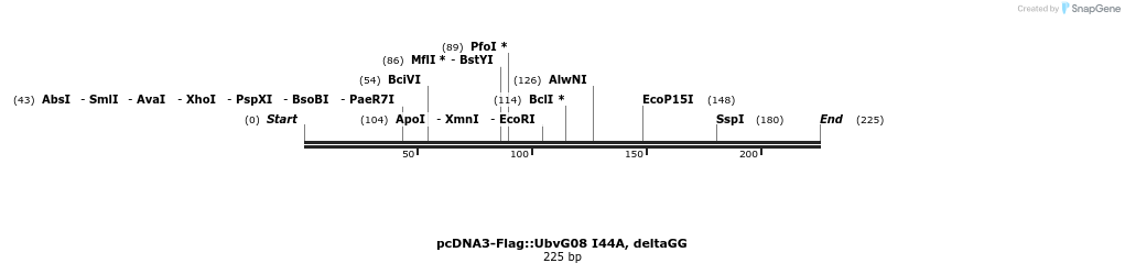 141749_map