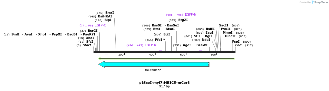 141750_map