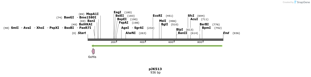 141752_map