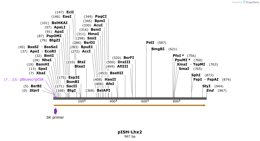 141753_map