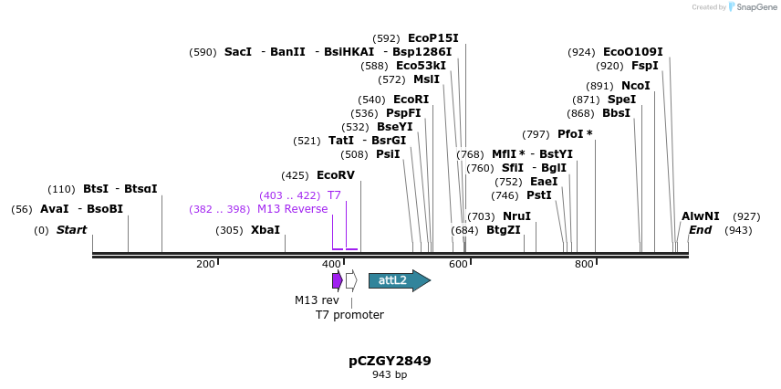 141761_map