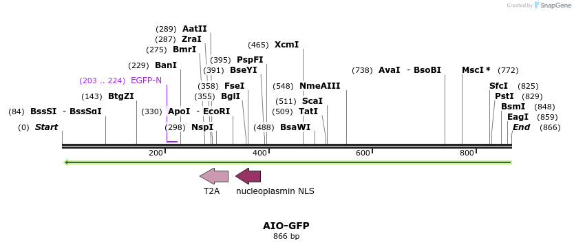 141764_map