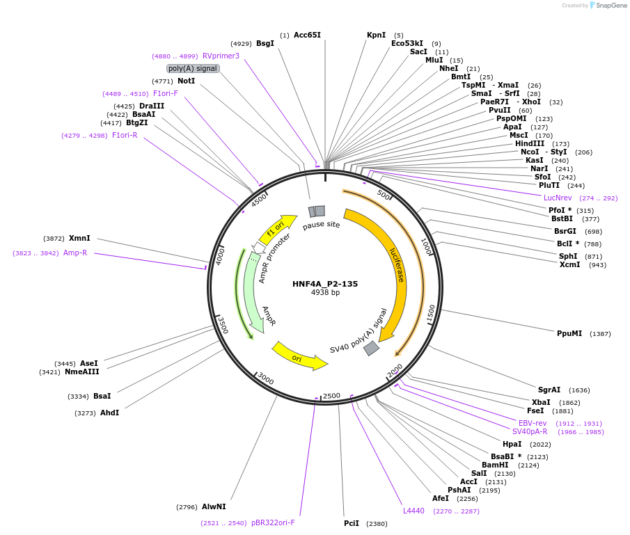 14177_map