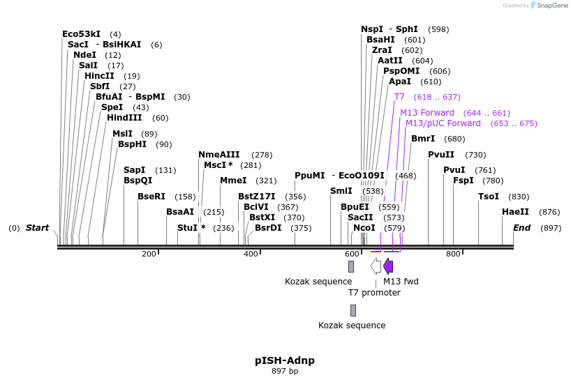 141776_map