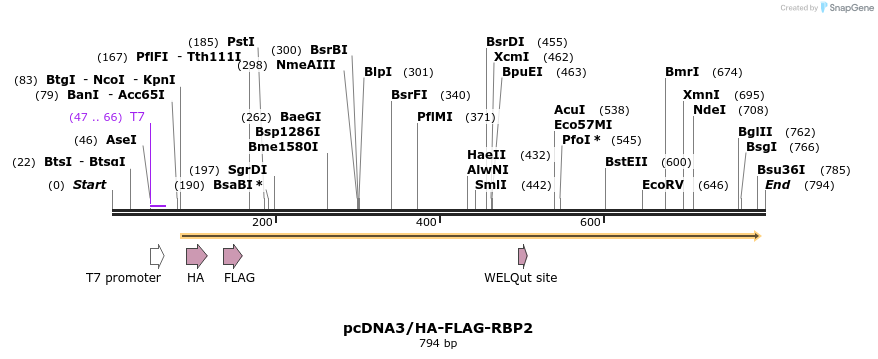 141777_map