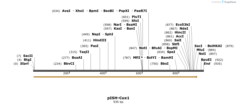 141780_map