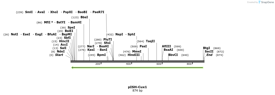 141781_map