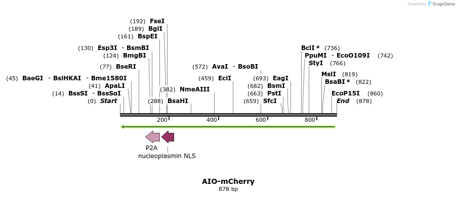 141784_map