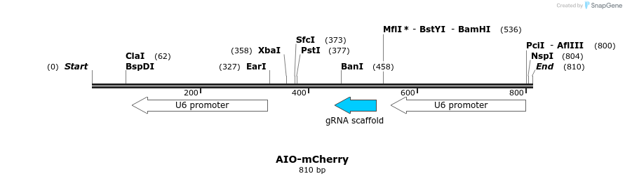 141785_map