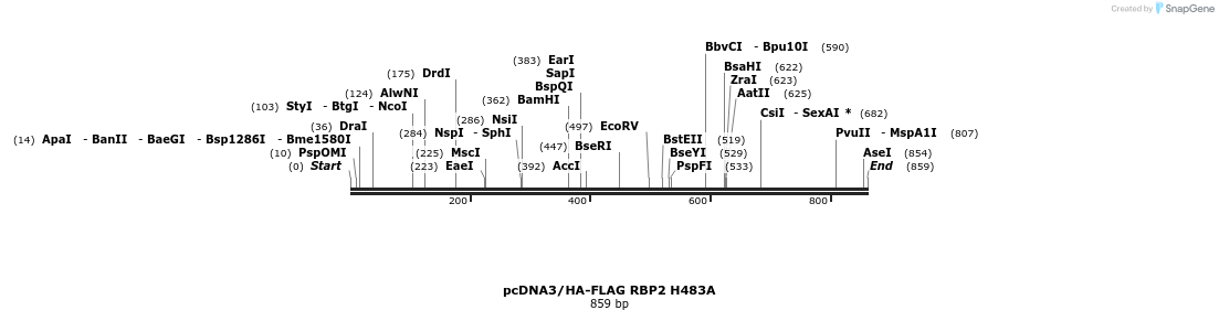 141786_map