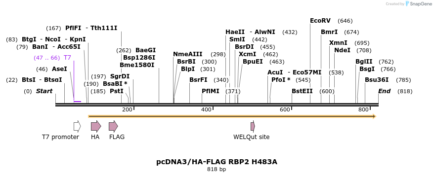141788_map