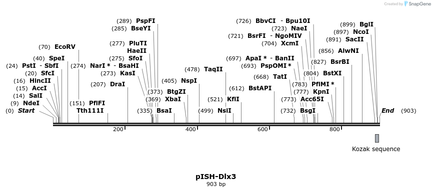 141789_map