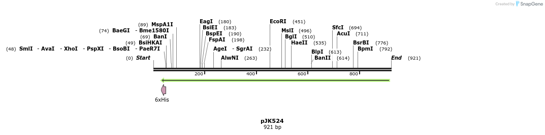 141801_map
