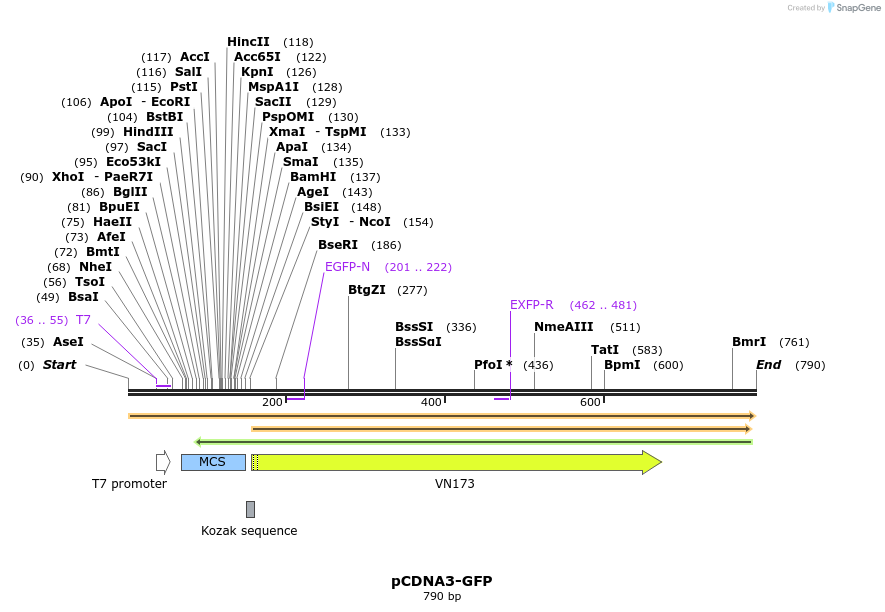 141805_map