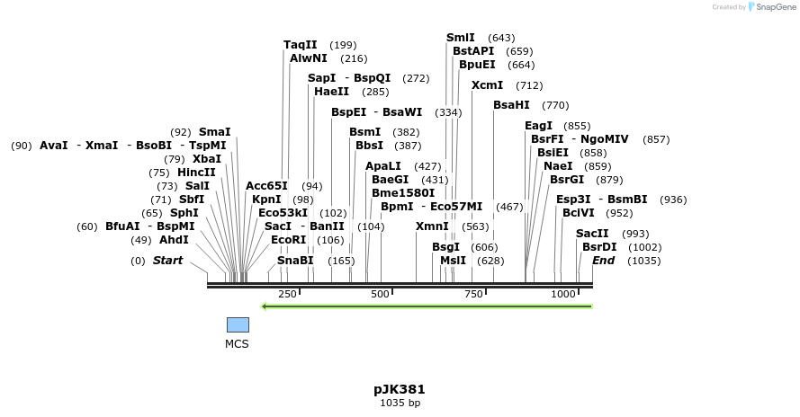 141806_map