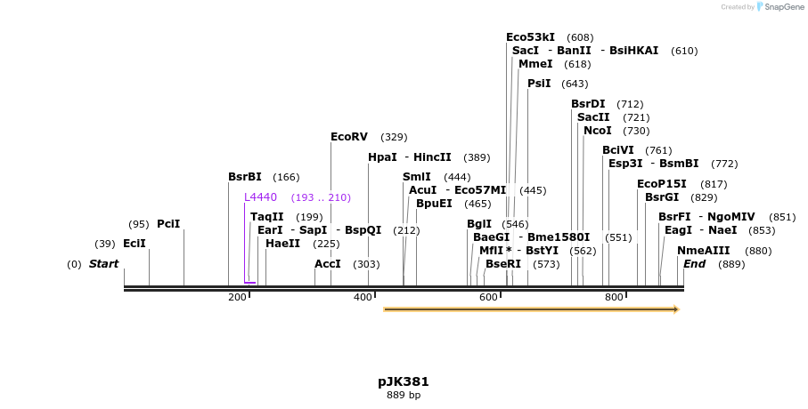 141807_map