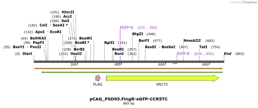 141811_map