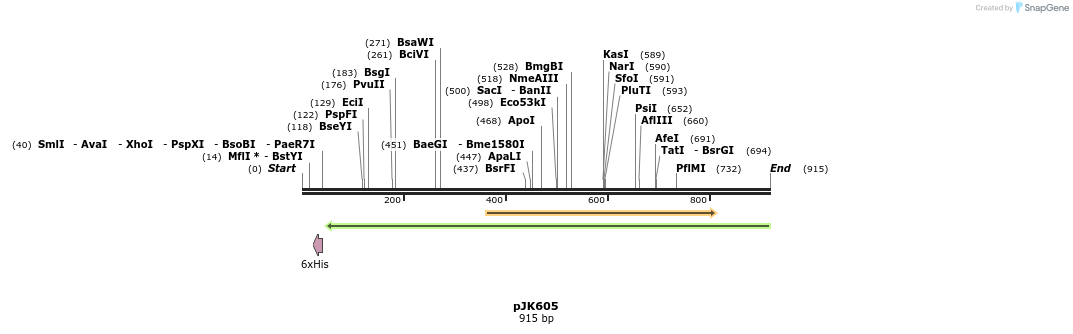 141822_map