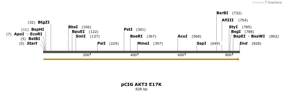 141843_map