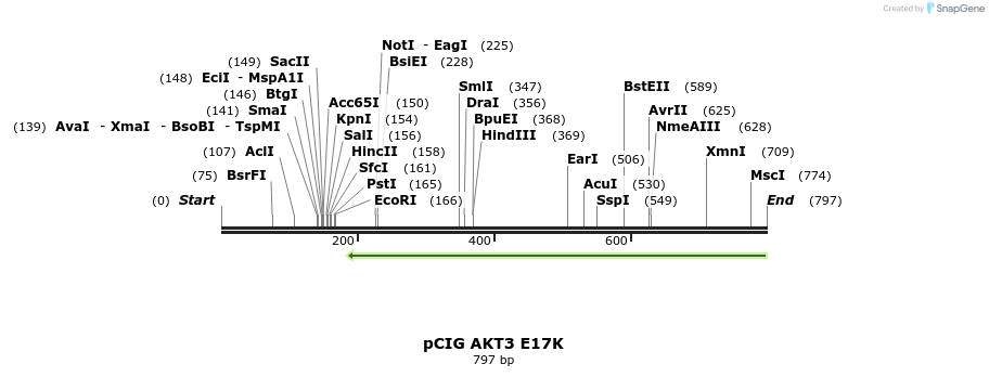 141844_map