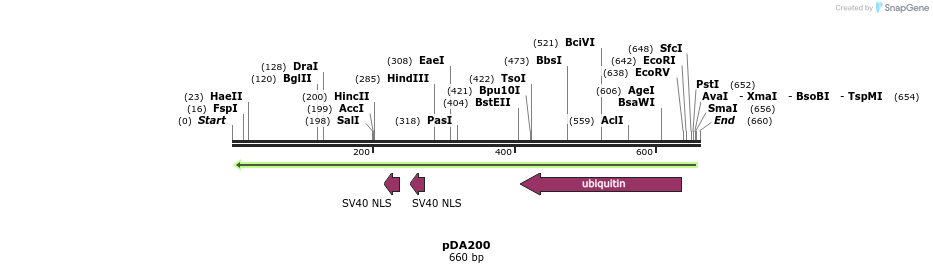 141852_map