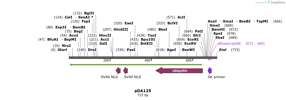 141853_map