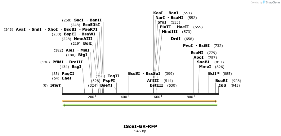 141863_map