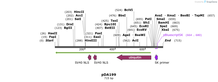 141868_map