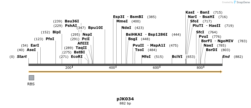 141869_map