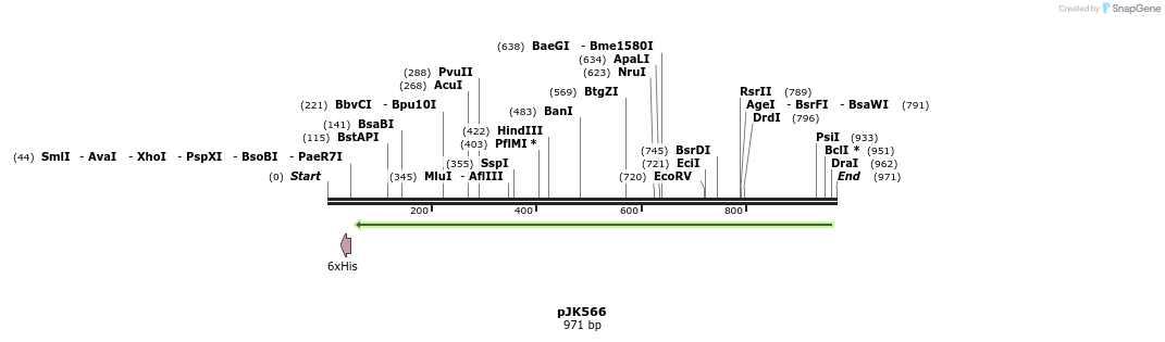 141879_map