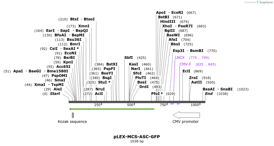 141898_map