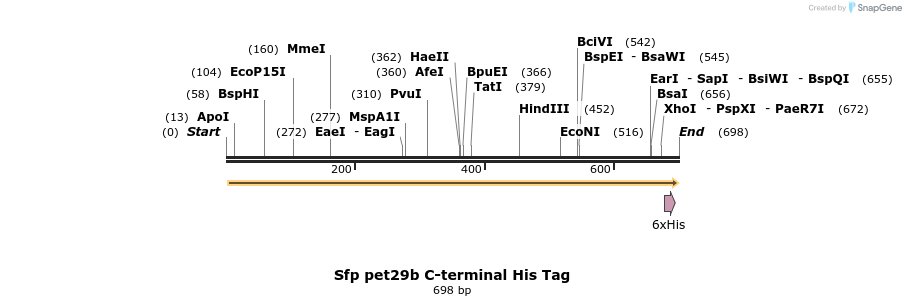 141900_map