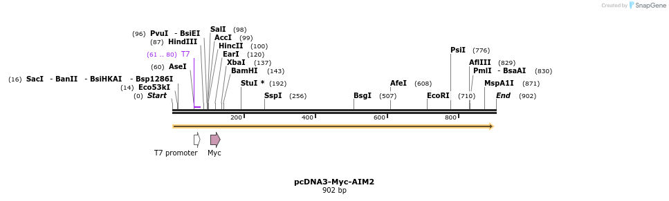 141902_map