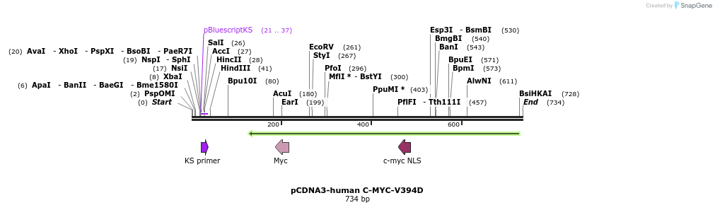 141903_map