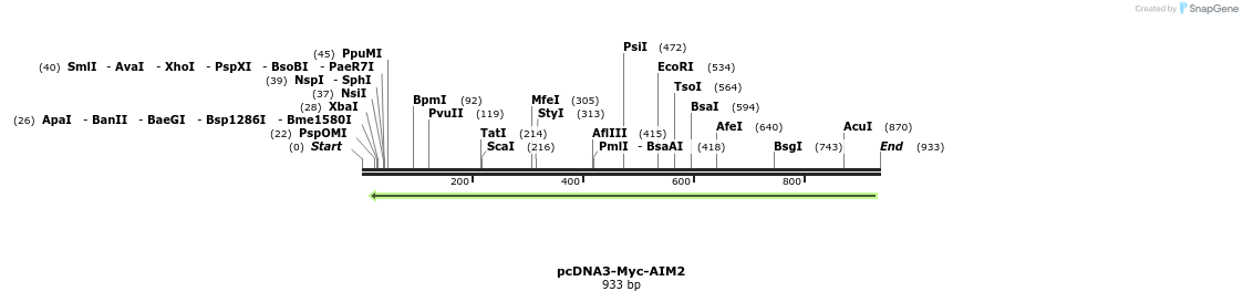 141905_map