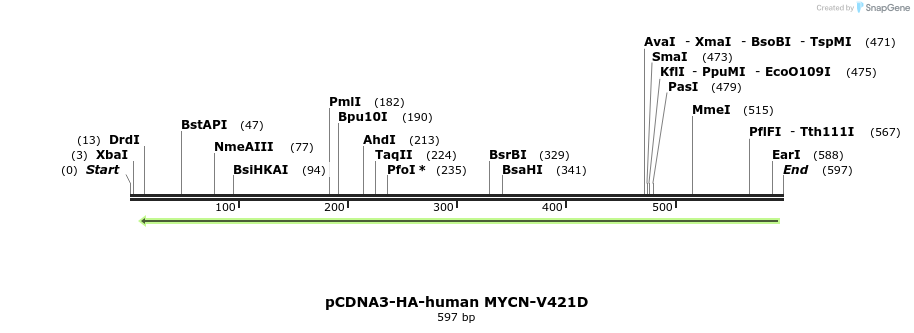 141910_map