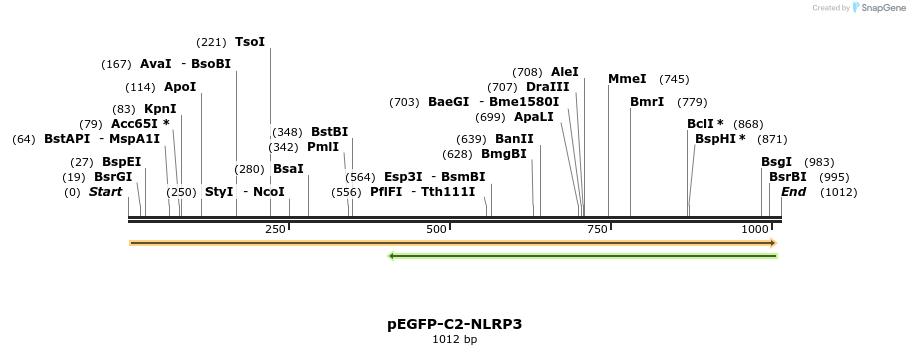 141911_map