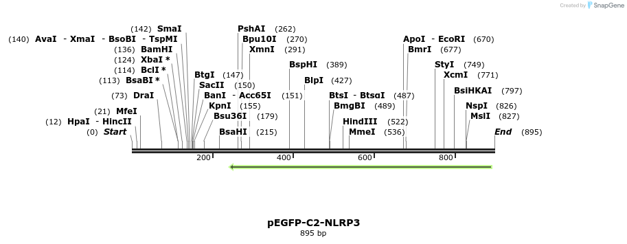 141912_map