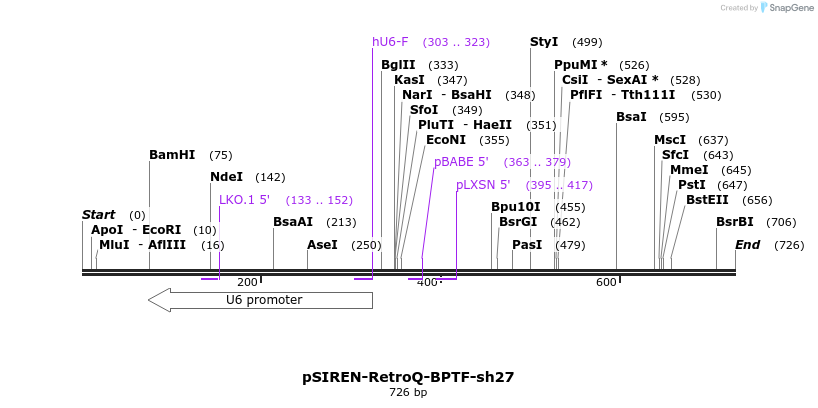 141922_map