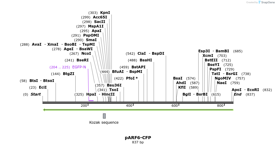 141924_map