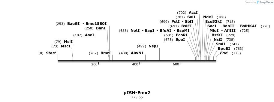 141926_map