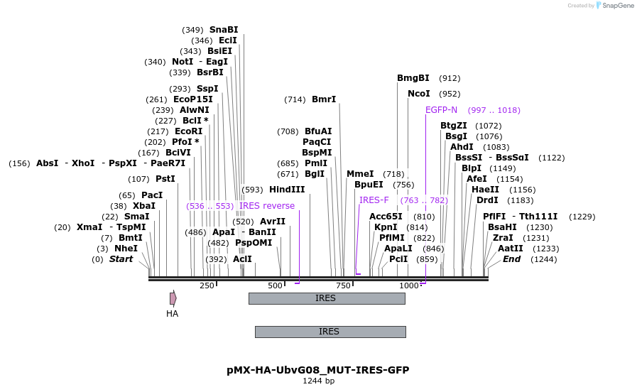 141941_map