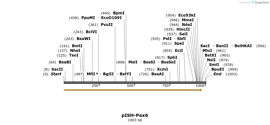 141942_map