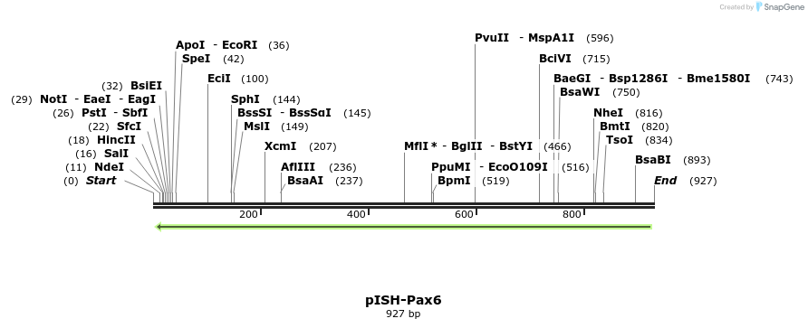 141943_map