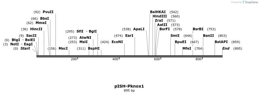 141951_map