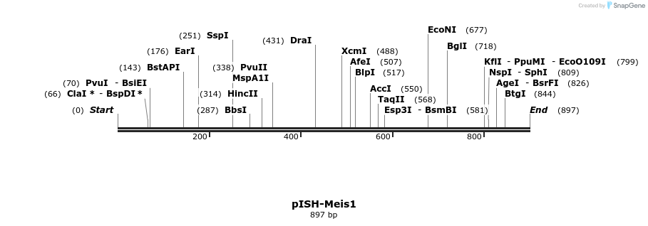 141953_map