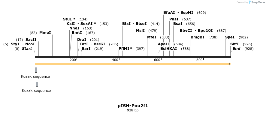 141959_map