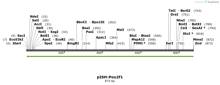 141960_map